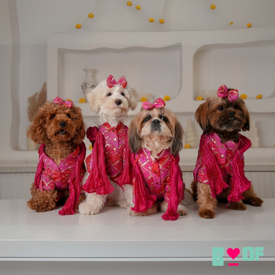 Dog Clothes