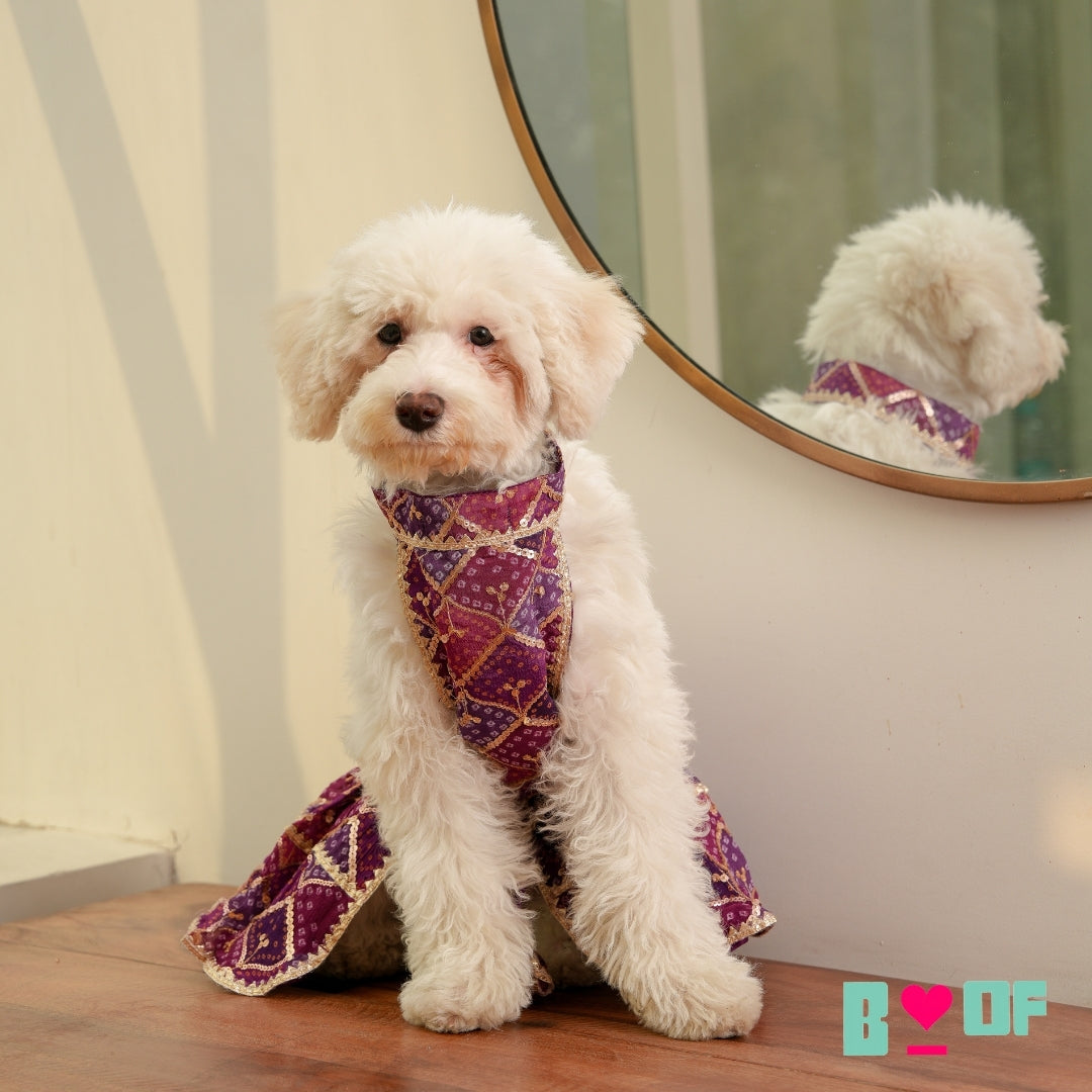 PURPLE PINK DOG LEHENGA