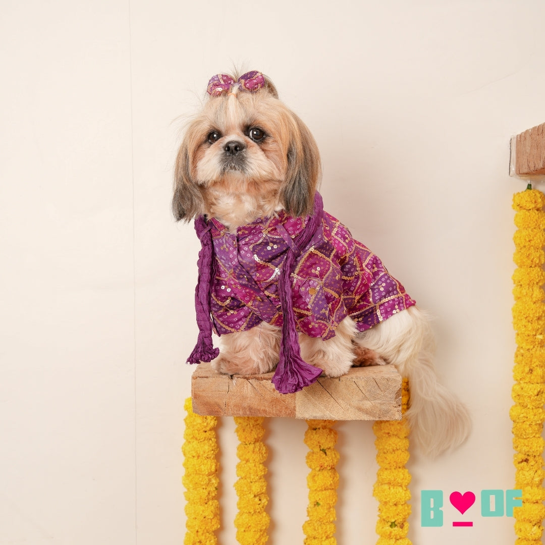 PURPLE DIAMOND DOG KURTA
