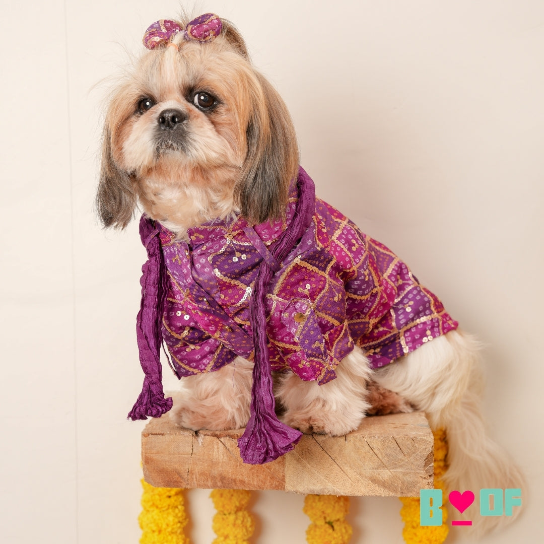 PURPLE DIAMOND DOG KURTA