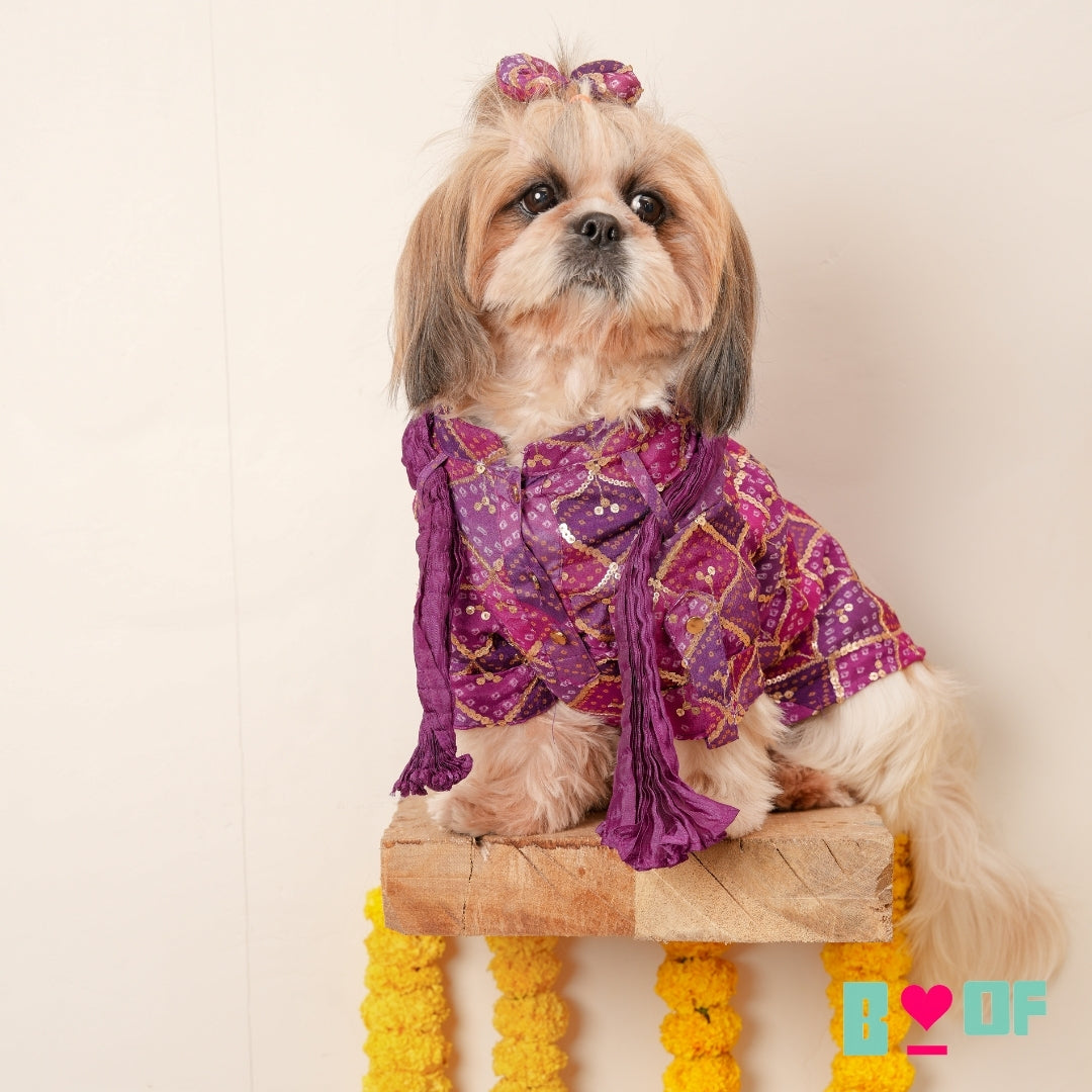 PURPLE DIAMOND DOG KURTA