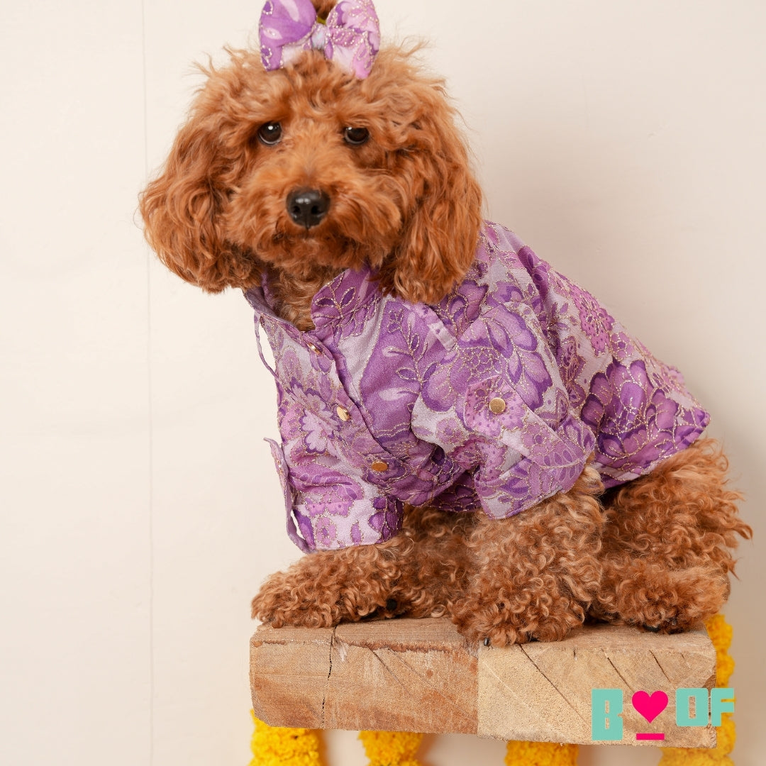 LAVENDER BLOOM DOG KURTA
