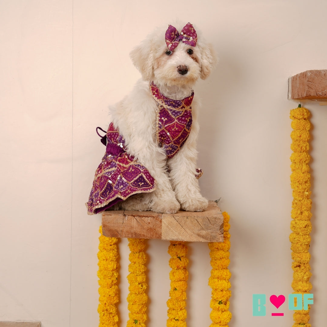 PURPLE PINK DOG LEHENGA