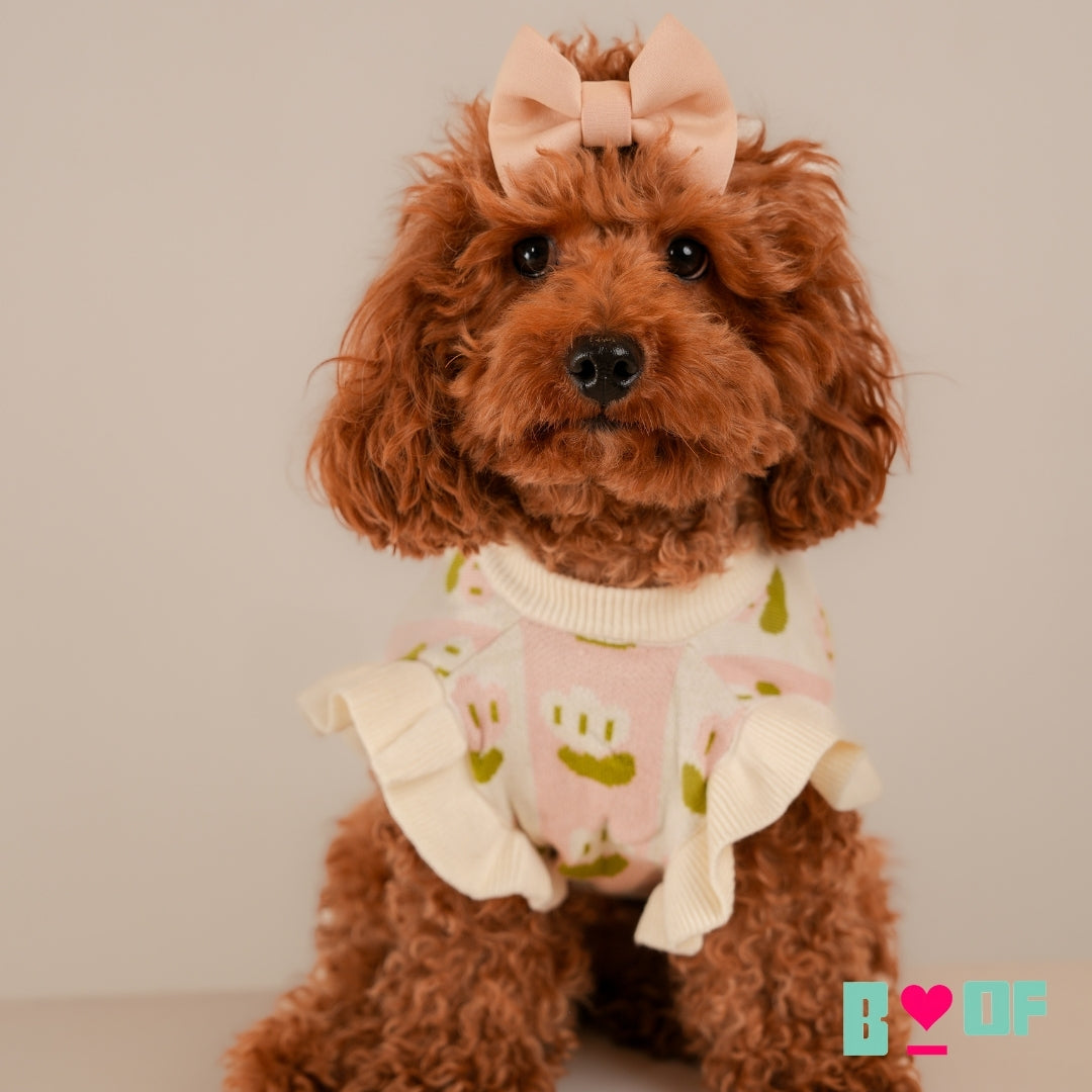 OFF WHITE TULIP DOG SWEATER