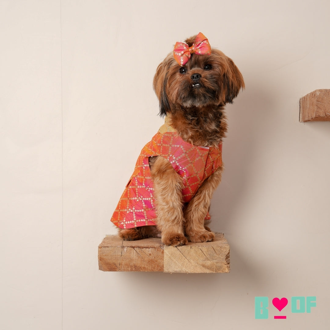 TWO TONE RED BROCADE BOW DOG SHERWANI