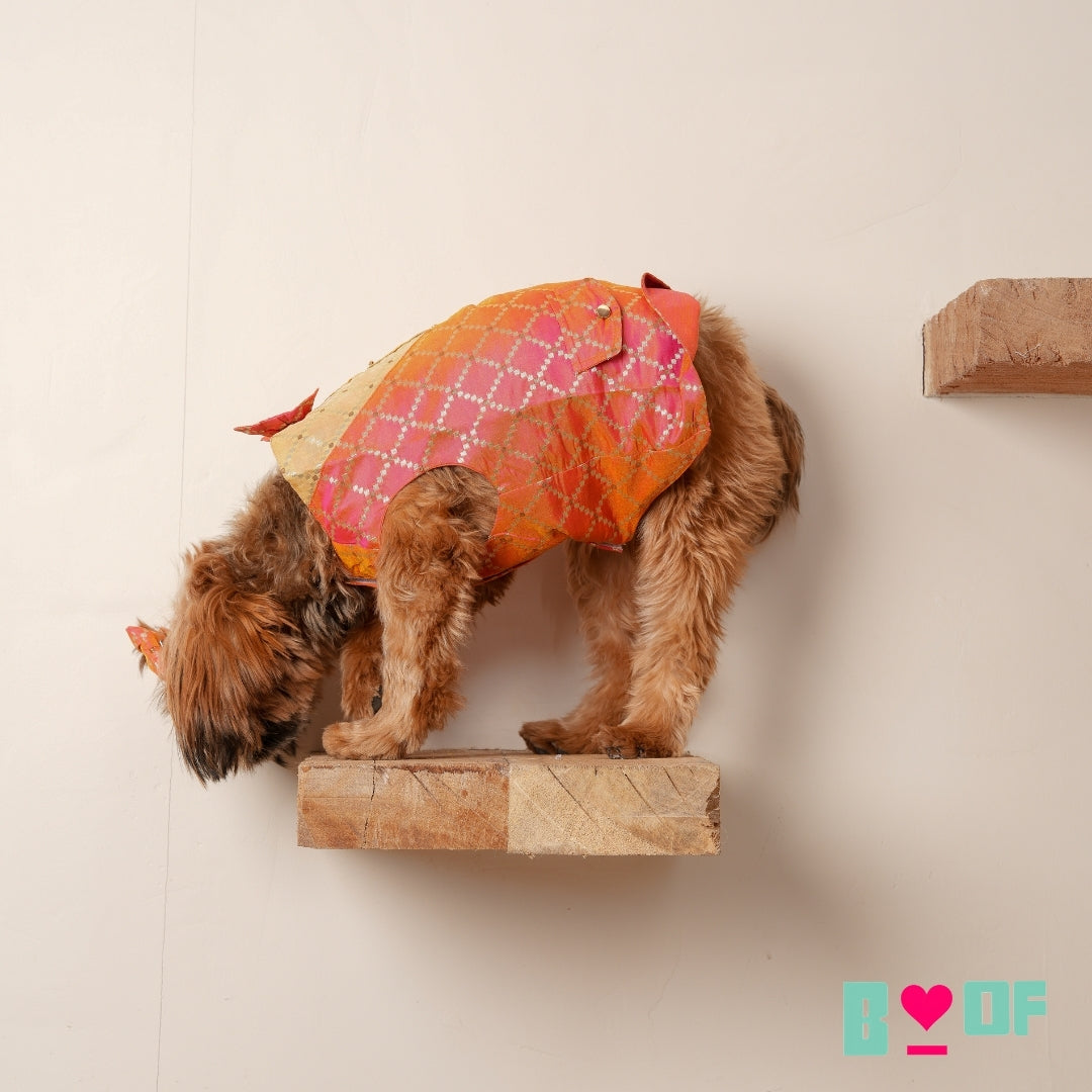 TWO TONE RED BROCADE BOW DOG SHERWANI