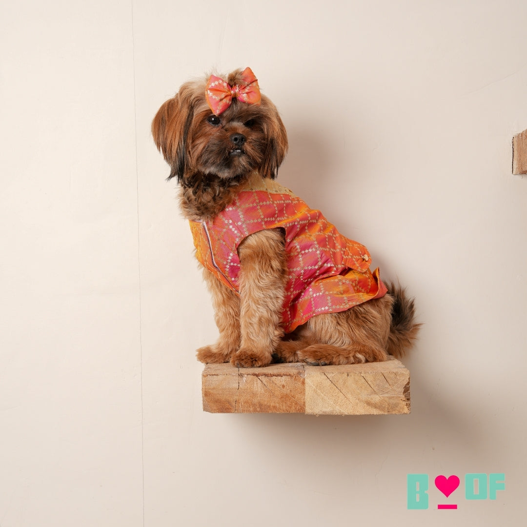 TWO TONE RED BROCADE BOW DOG SHERWANI
