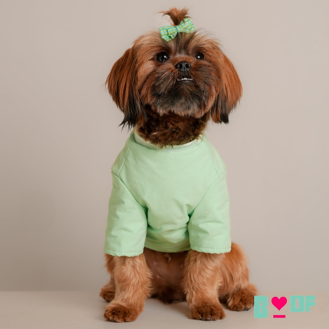 GREEN POPPIN DOG JACKET