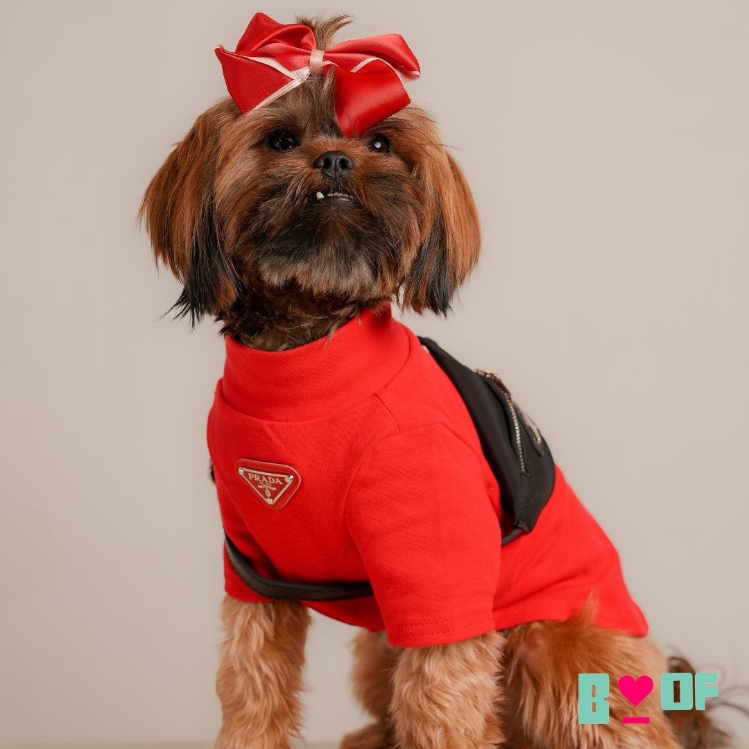 PAW-DA RED DOG TURTLE NECK