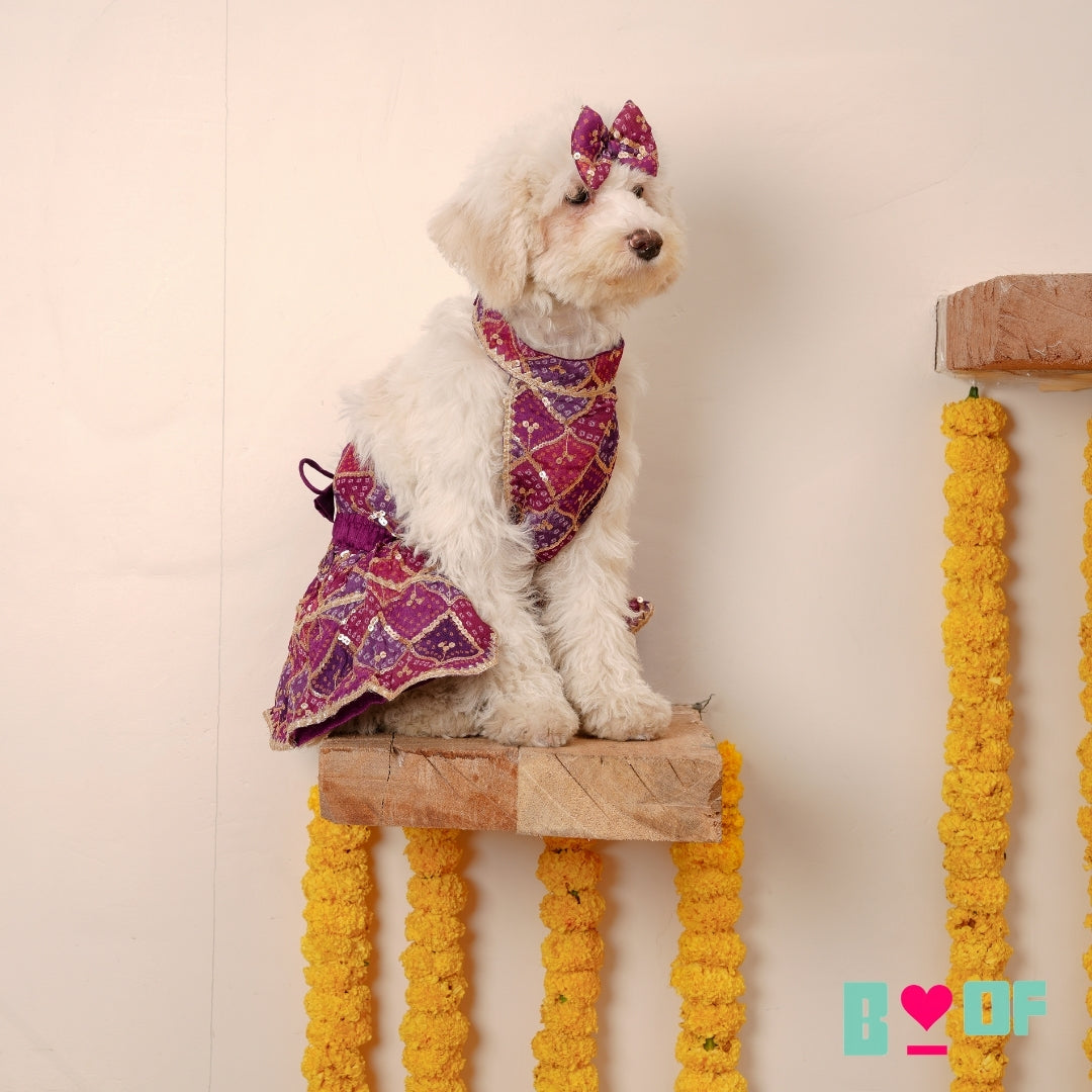 PURPLE PINK DOG LEHENGA