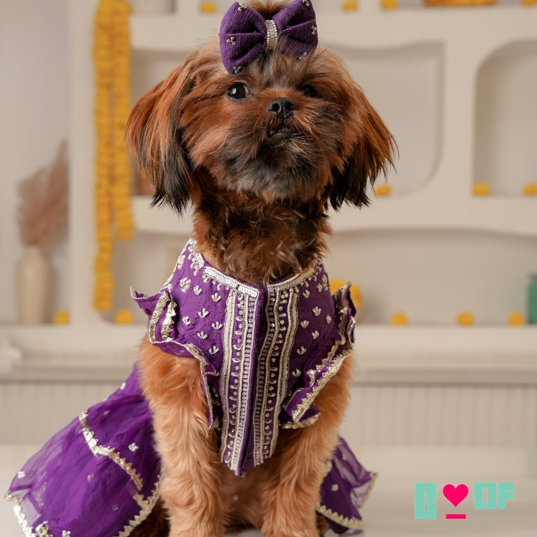 PURPLE WHITE PATTA HAND EMBROIDERED DOG LEHENGA