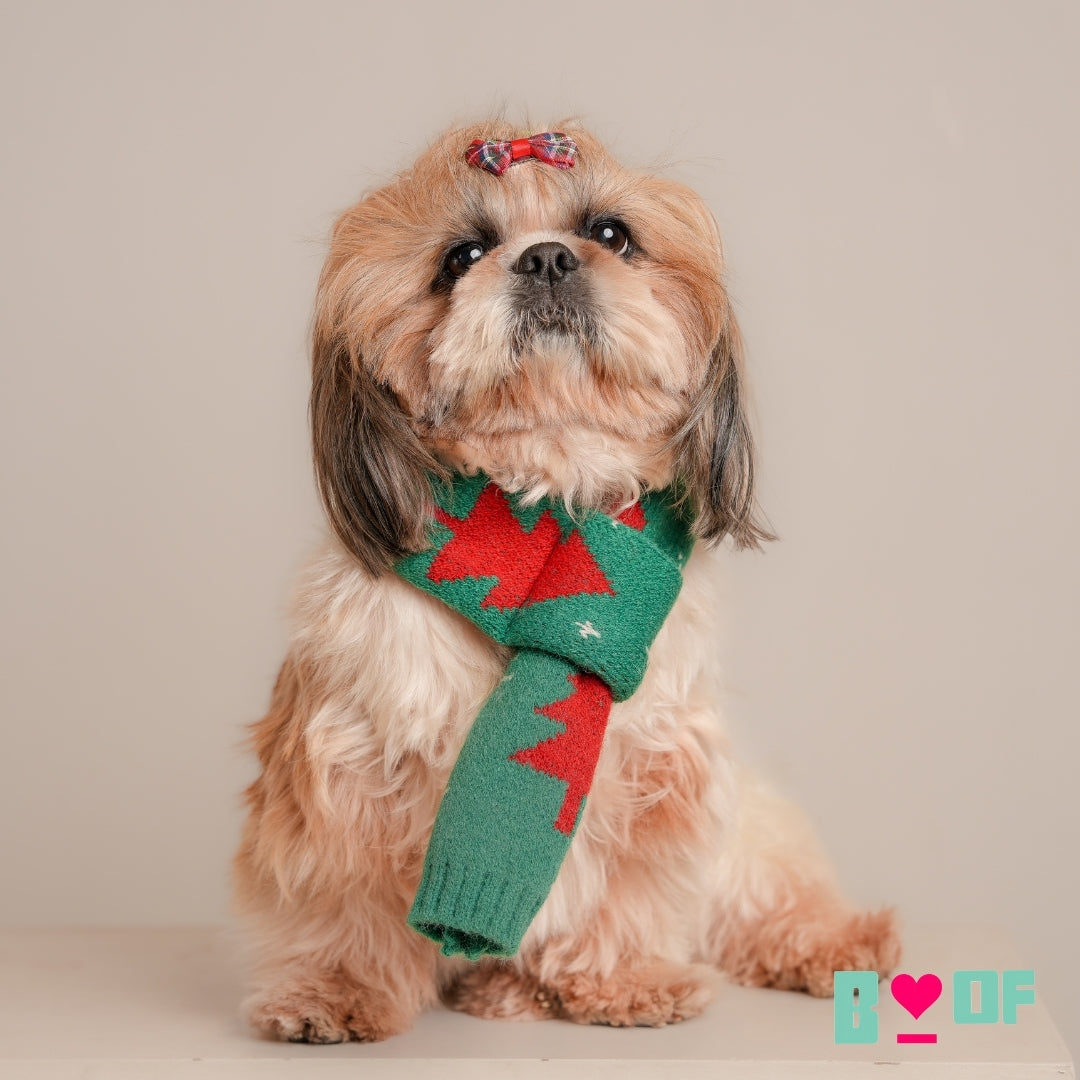 CHRISTMAS WINTER DOG SCARF