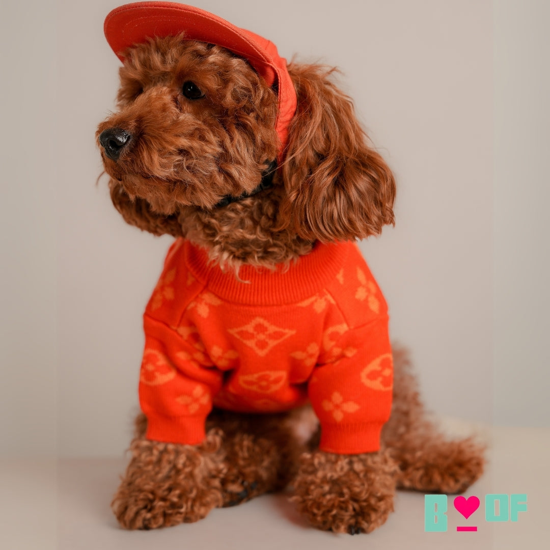 halloween dog sweater ORANGE PAW-V DOG SWEATER