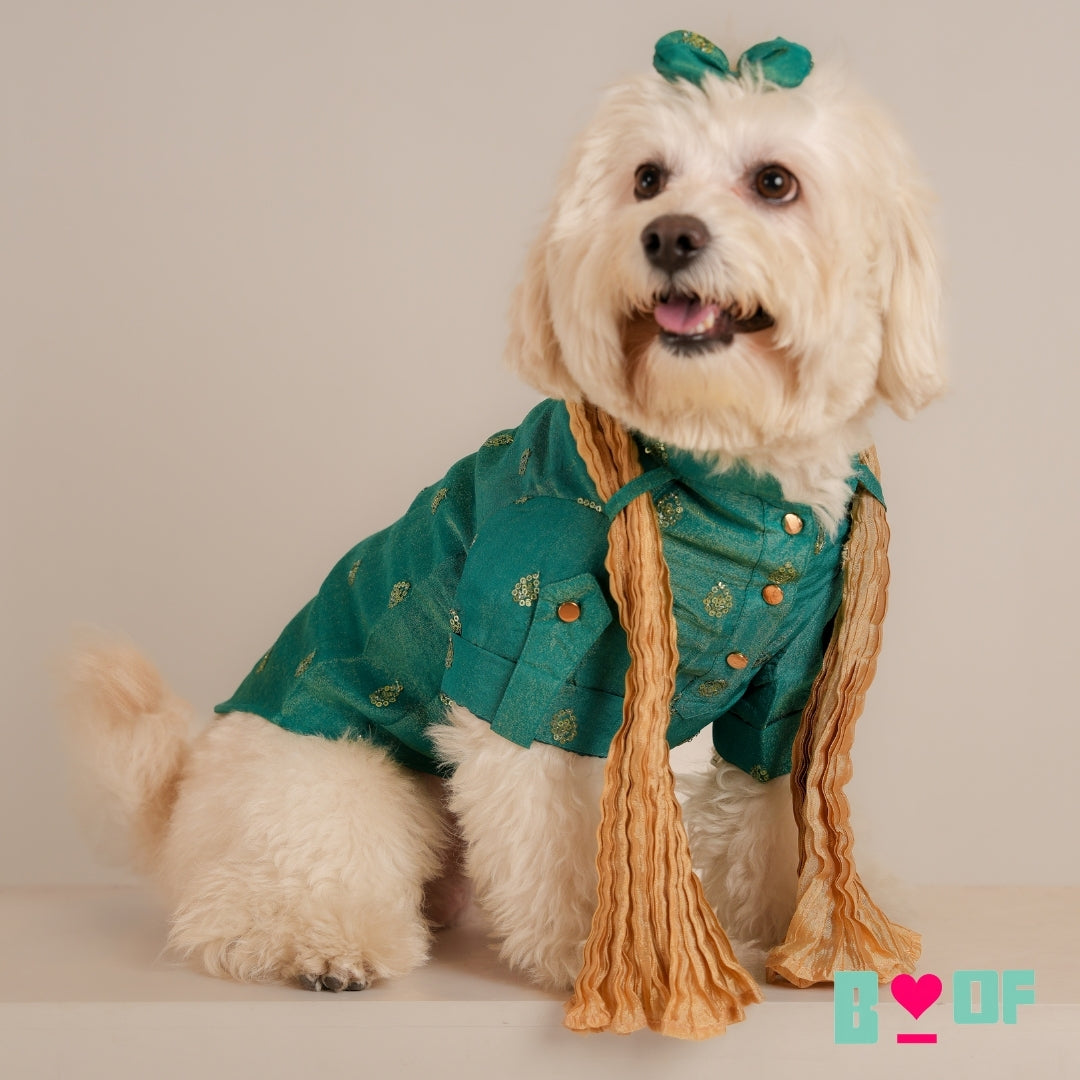 BOTTLE GREEN TISSUE BUTI DOG KURTA