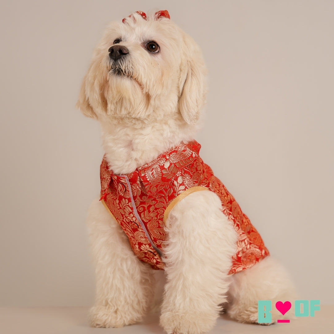 SCARLET PAISLEY BROCADE DOG WAISTCOAT