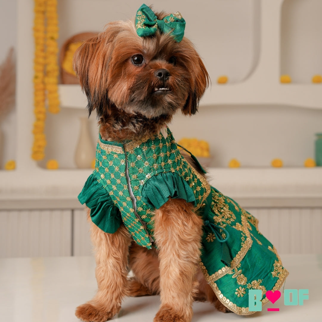 EMERALD GREEN GOLD DOG LEHENGA
