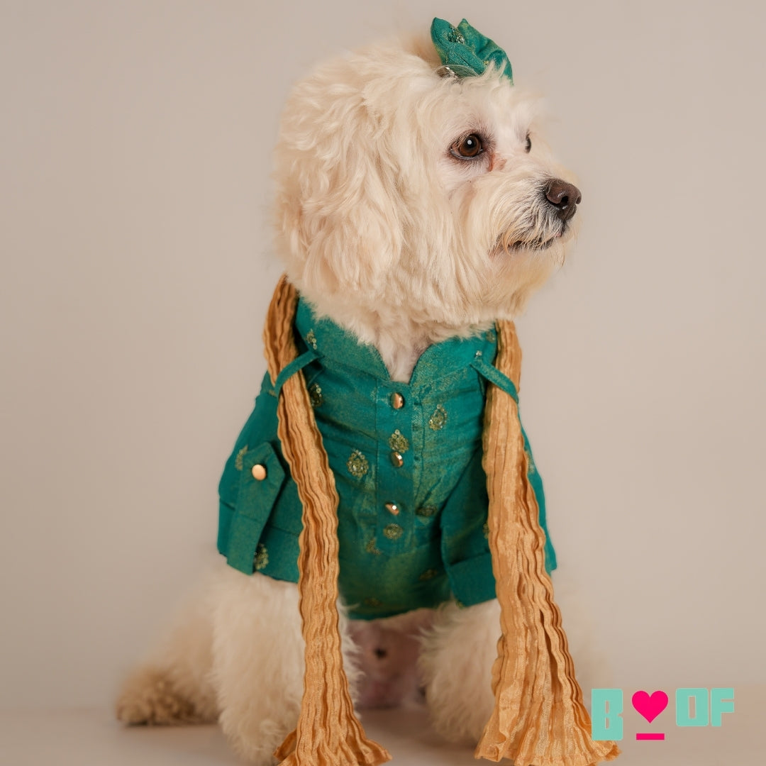 BOTTLE GREEN TISSUE BUTI DOG KURTA