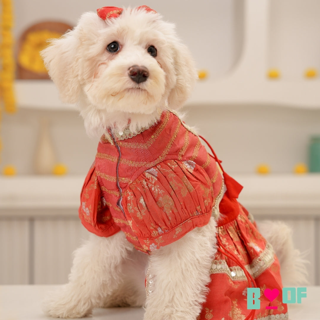 ORANGE BROCADE MIRROR WORK DOG LEHENGA