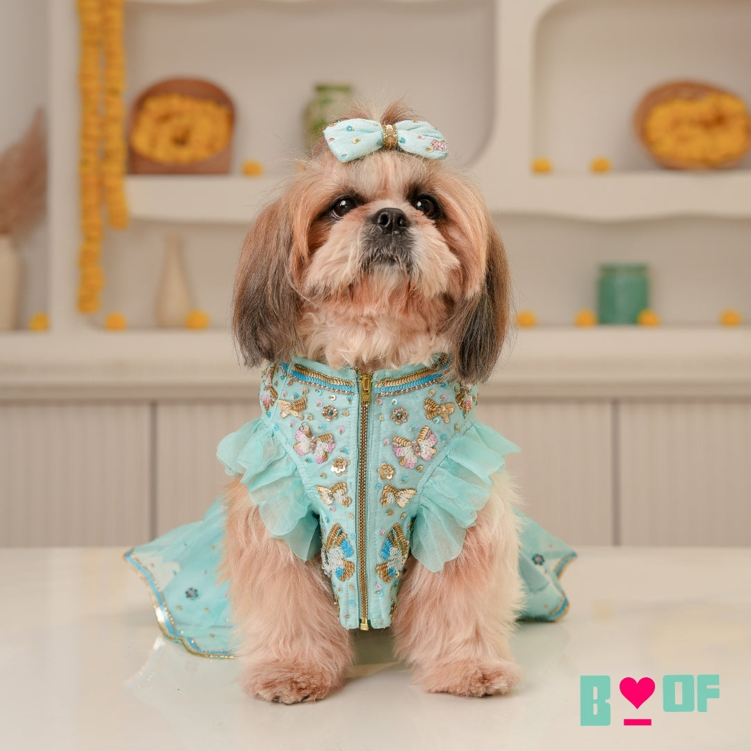 SEA BLUE BUTTERFLY DOG LEHENGA