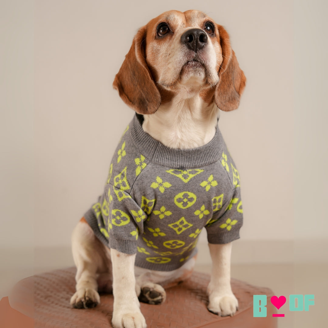 GREY PAW-V DOG SWEATER