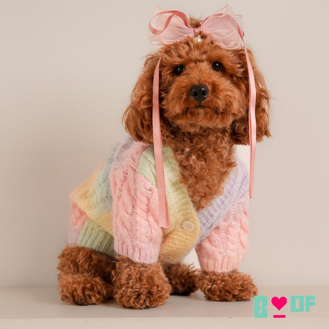 COLOUR BLAST CABLE DOG CARDIGAN