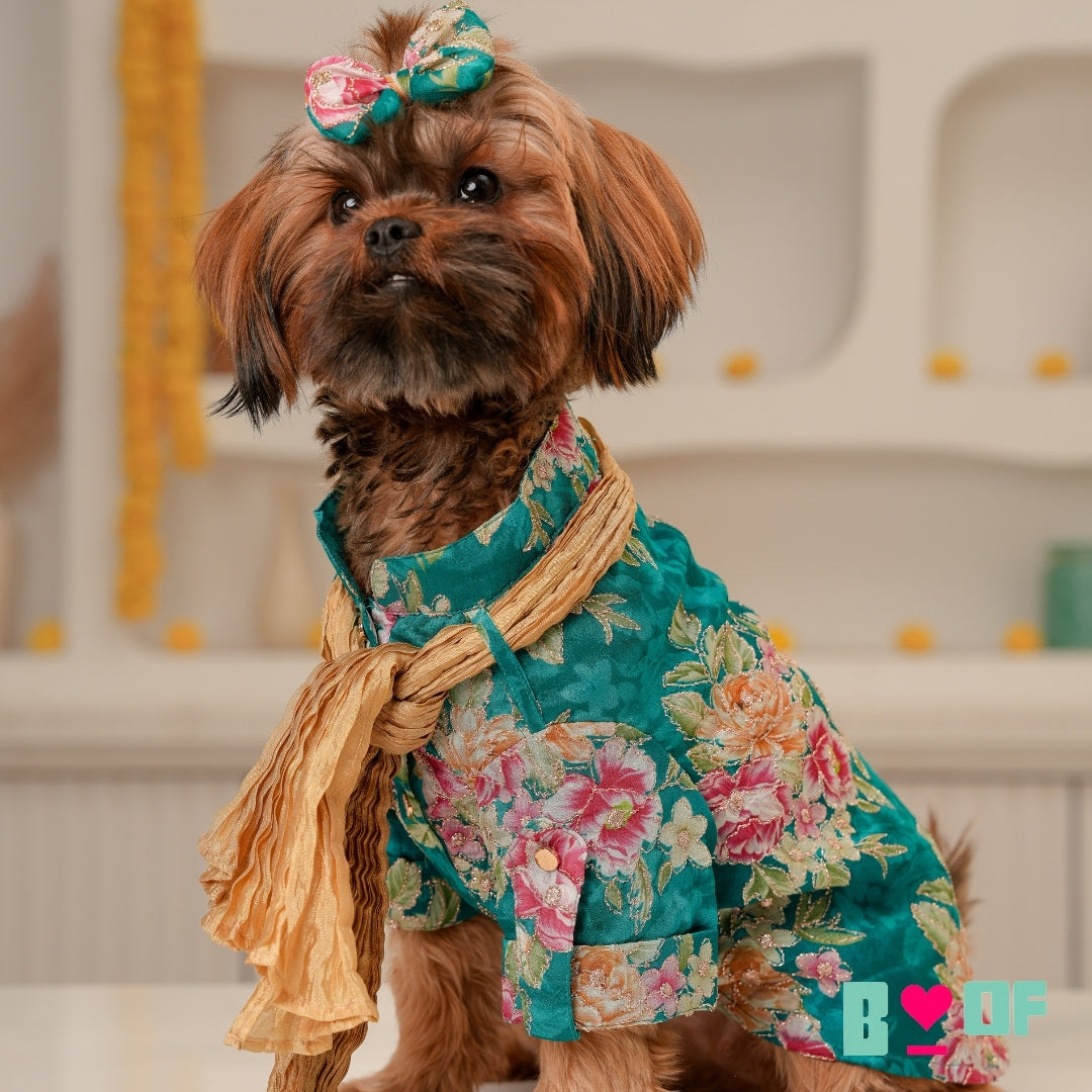 GREEN FLORAL ZARI DOG KURTA