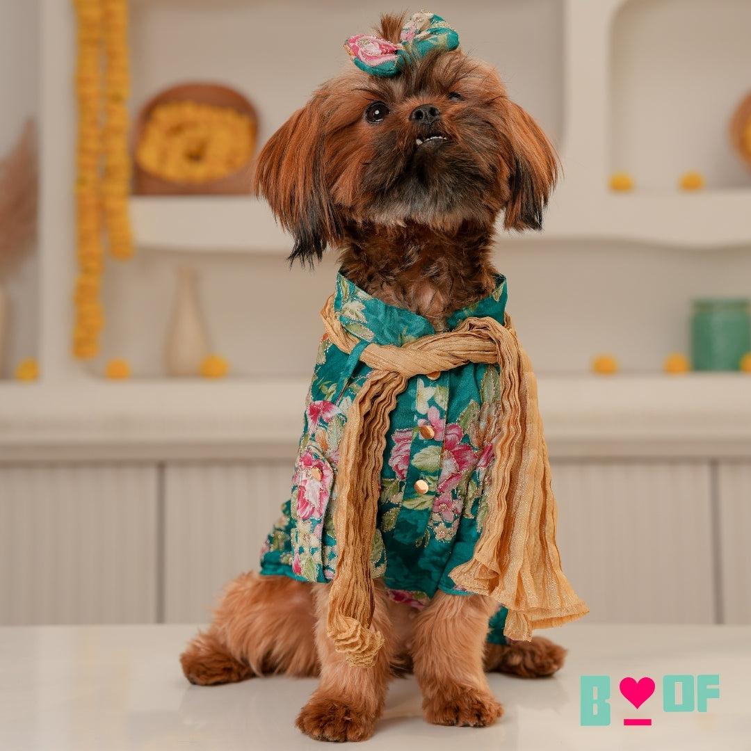 GREEN FLORAL ZARI DOG KURTA