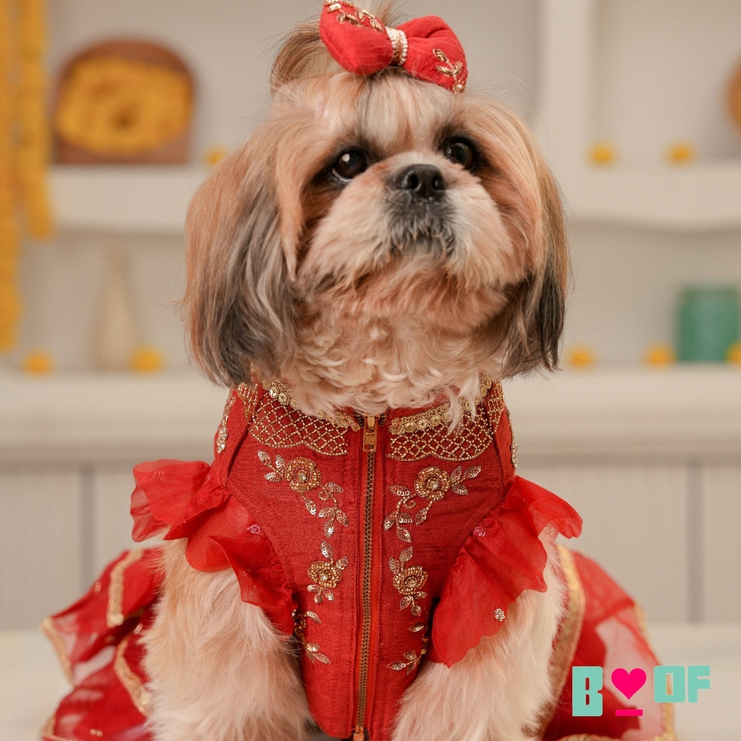 RED HAND EMBROIDERED GOLD FLOWERS DOG LEHENGA
