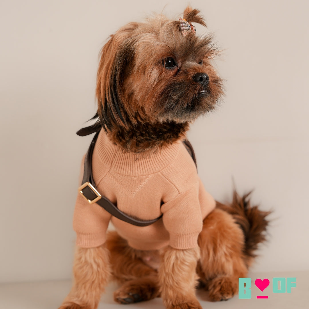 BEIGE PAW-DA MILANO DOG SWEATER