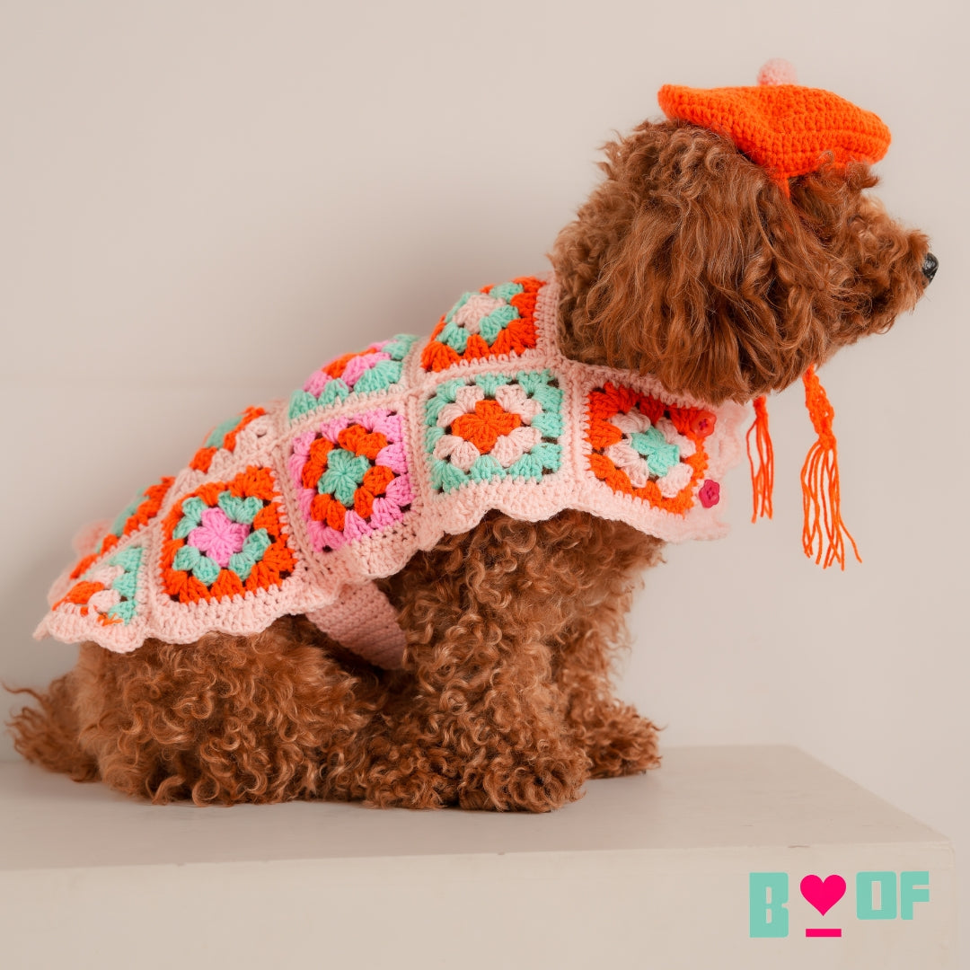 CROCHET PATCH WORK DOG JACKET WITH BERET