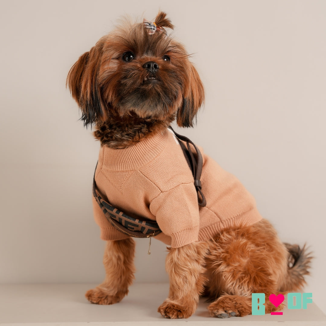 BEIGE PAW-DA MILANO DOG SWEATER