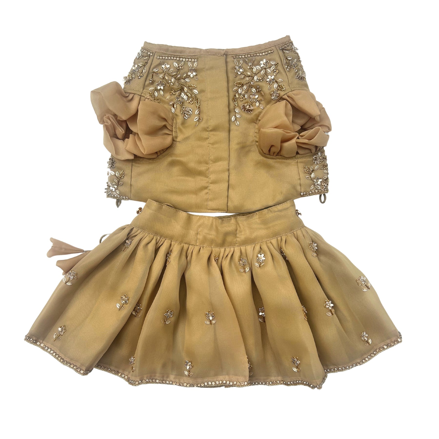 GOLDEN HOUR HAND EMBROIDERED LEHENGA FOR DOGS AND CATS
