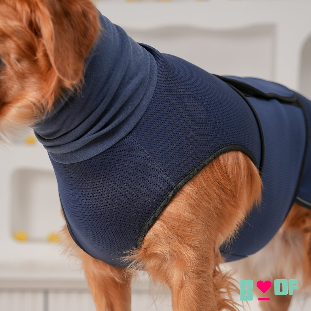 BLUE ADJUSTABLE WINTER DOG VEST