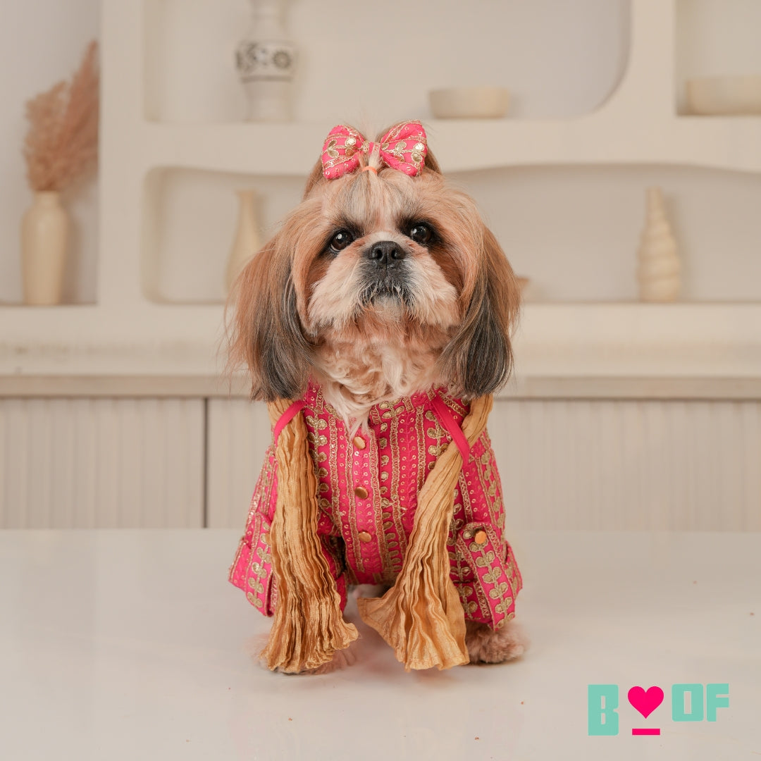FUCHSIA LEAF DOG KURTA