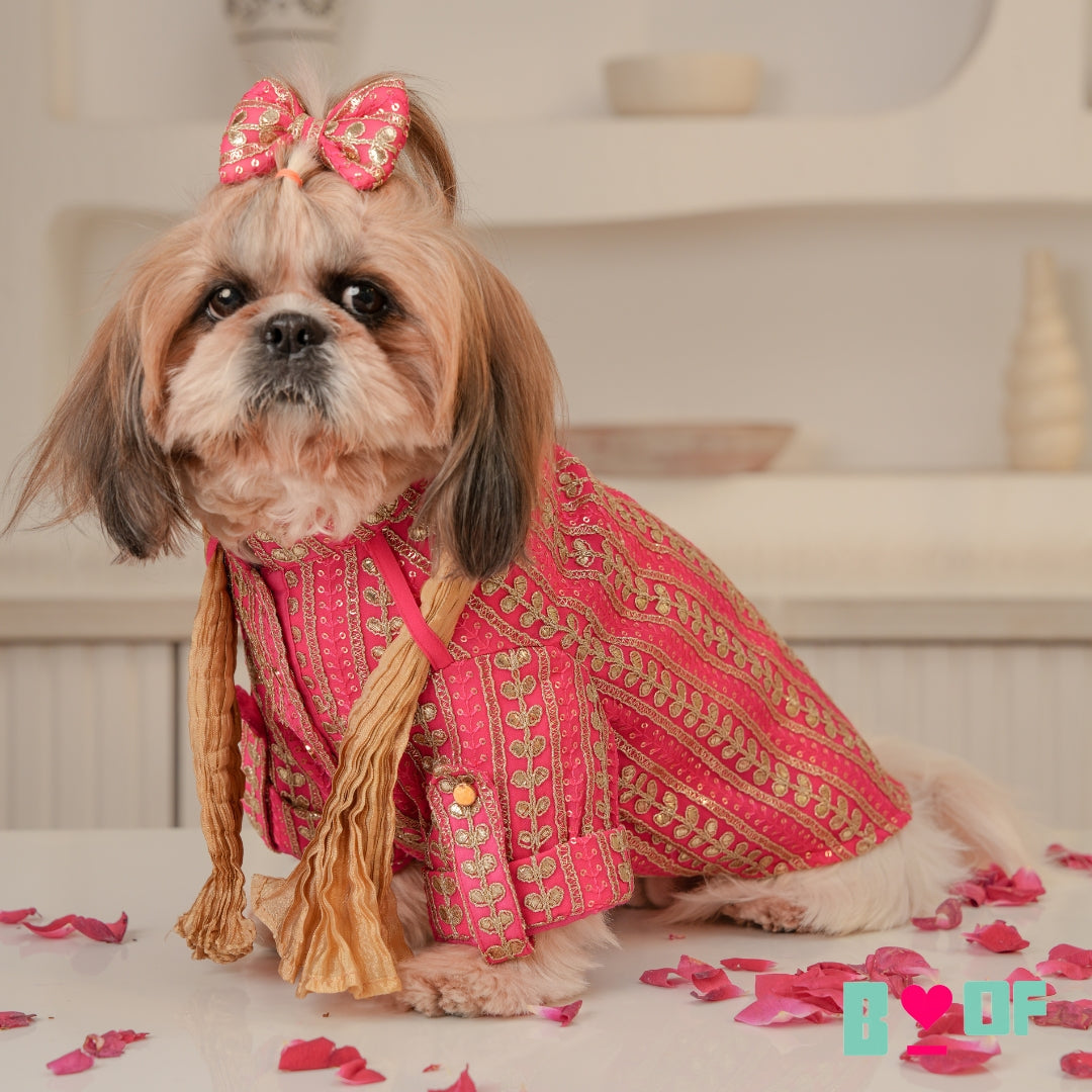 FUCHSIA LEAF DOG KURTA