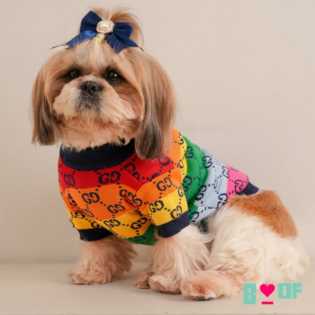 PAW-CCI COLOURFUL DOG SWEATER