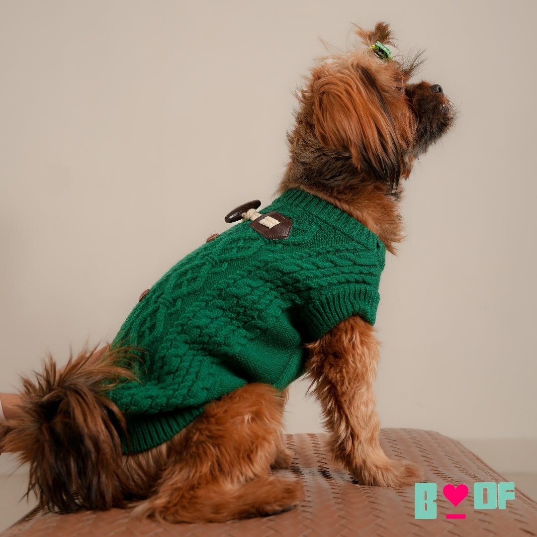 EMERALD GREEN CABLE DOG SWEATER