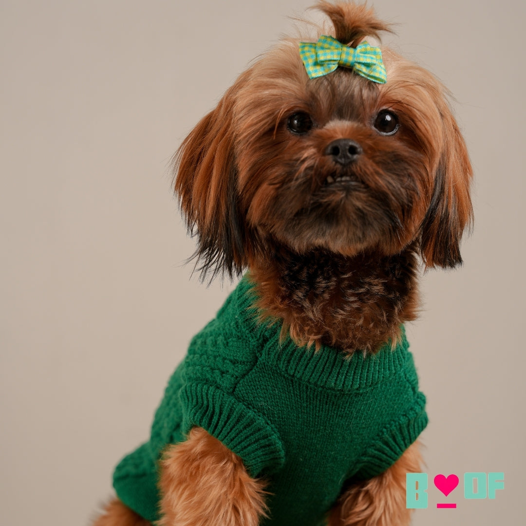 EMERALD GREEN CABLE DOG SWEATER