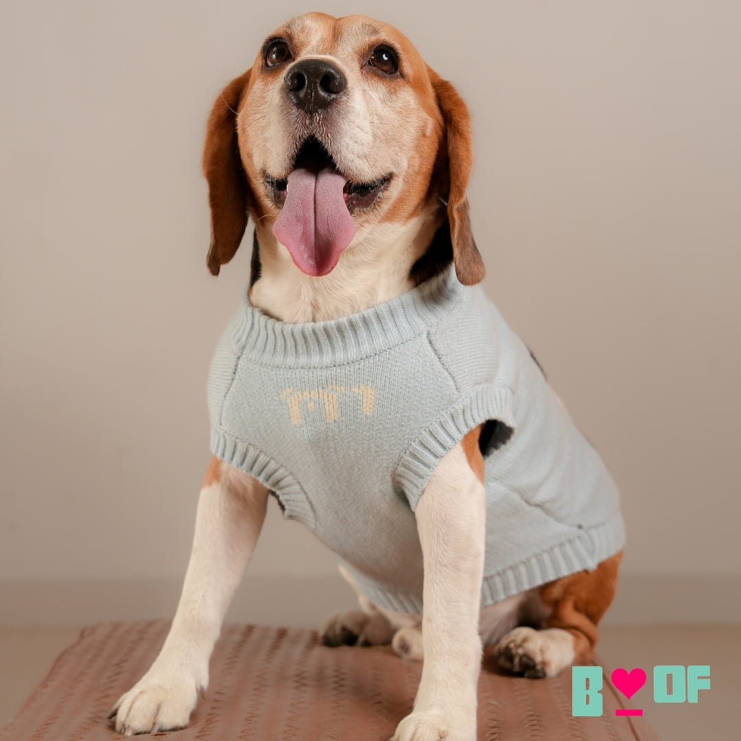 BLUE PANDA DOG SWEATER