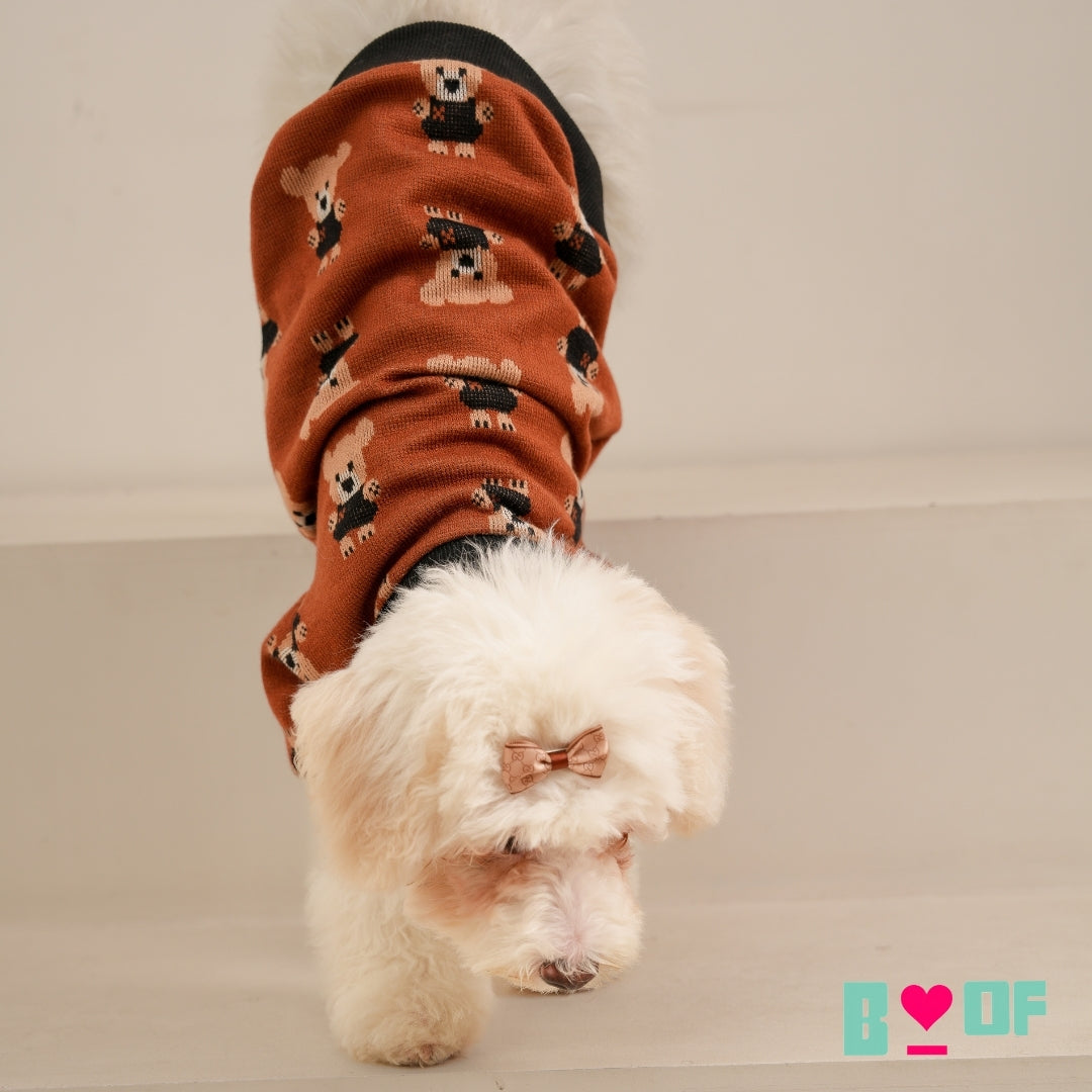 BROWN TEDDY SHAWL COLLAR DOG CARDIGAN