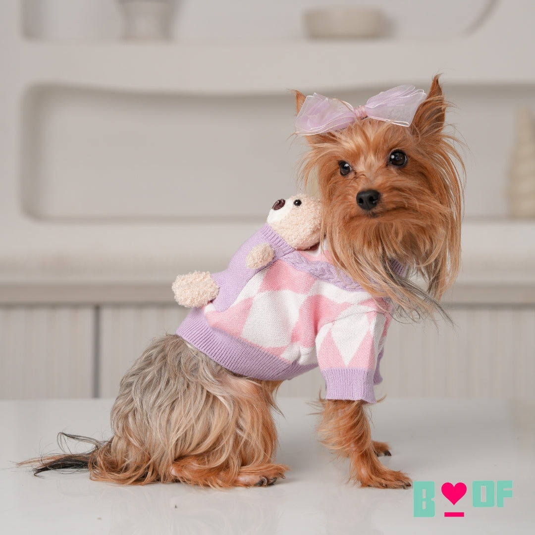 PURPLE PINK TEDDY DOG SWEATER