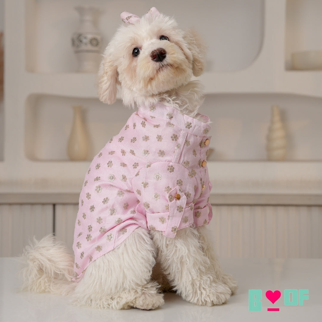 PASTEL PINK GOLD BUTTI DOG KURTA