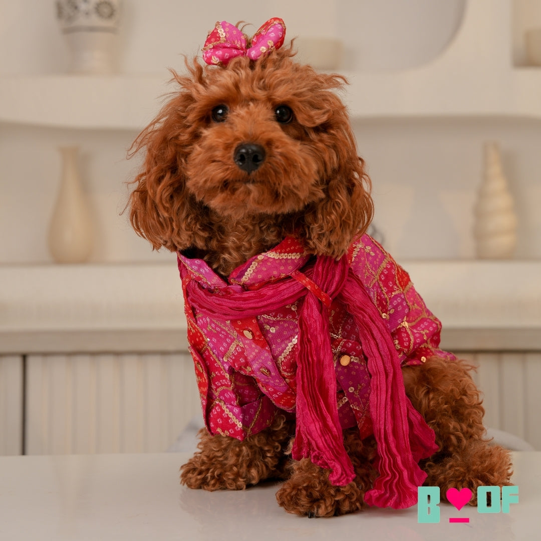 PINK DIAMOND DOG KURTA