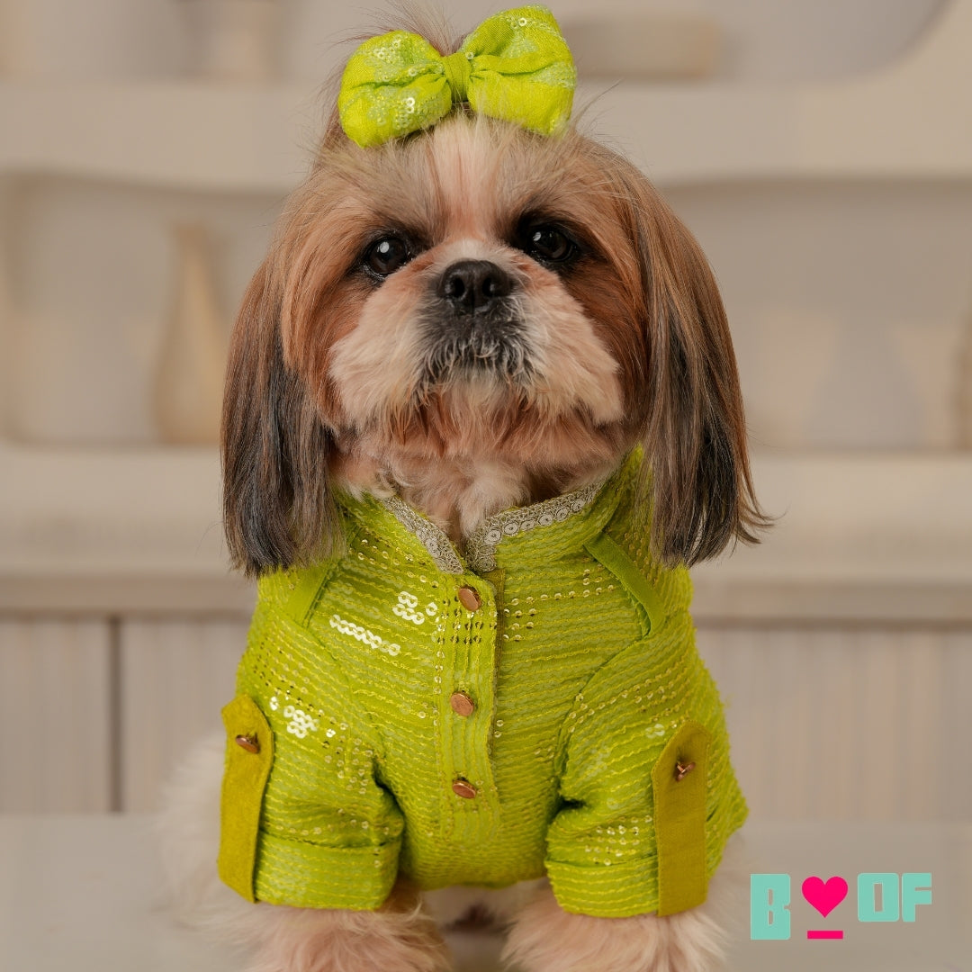 LIGHT GREEN SEQUINS DOG KURTA LIGHT GREEN SEQUINS DOG KURTA