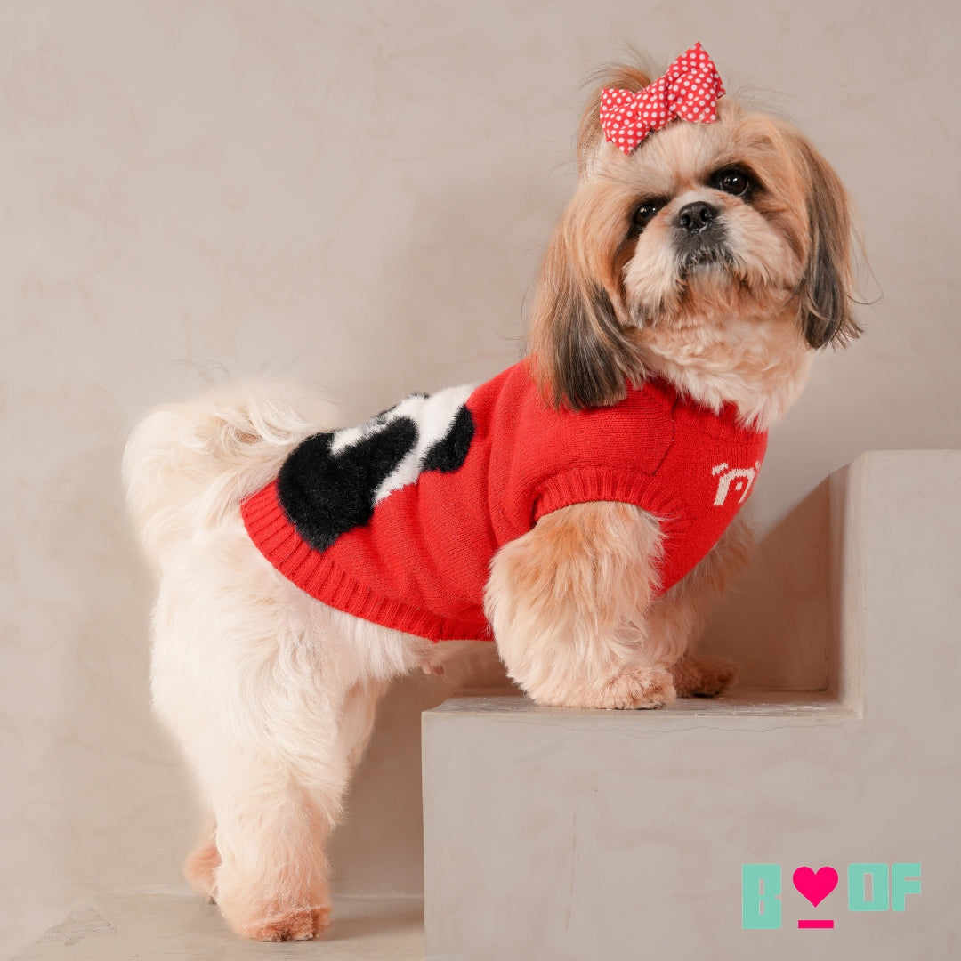 RED PANDA DOG SWEATER