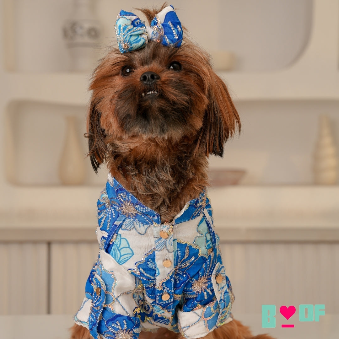 BLUE FLOWER BOUQUET HAND EMBROIDERED DOG KURTA