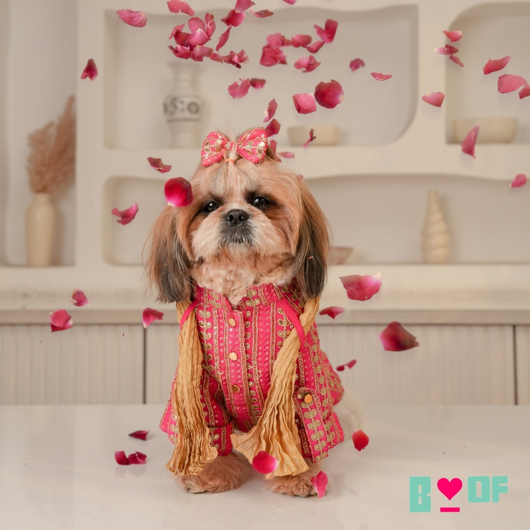 FUCHSIA LEAF DOG KURTA