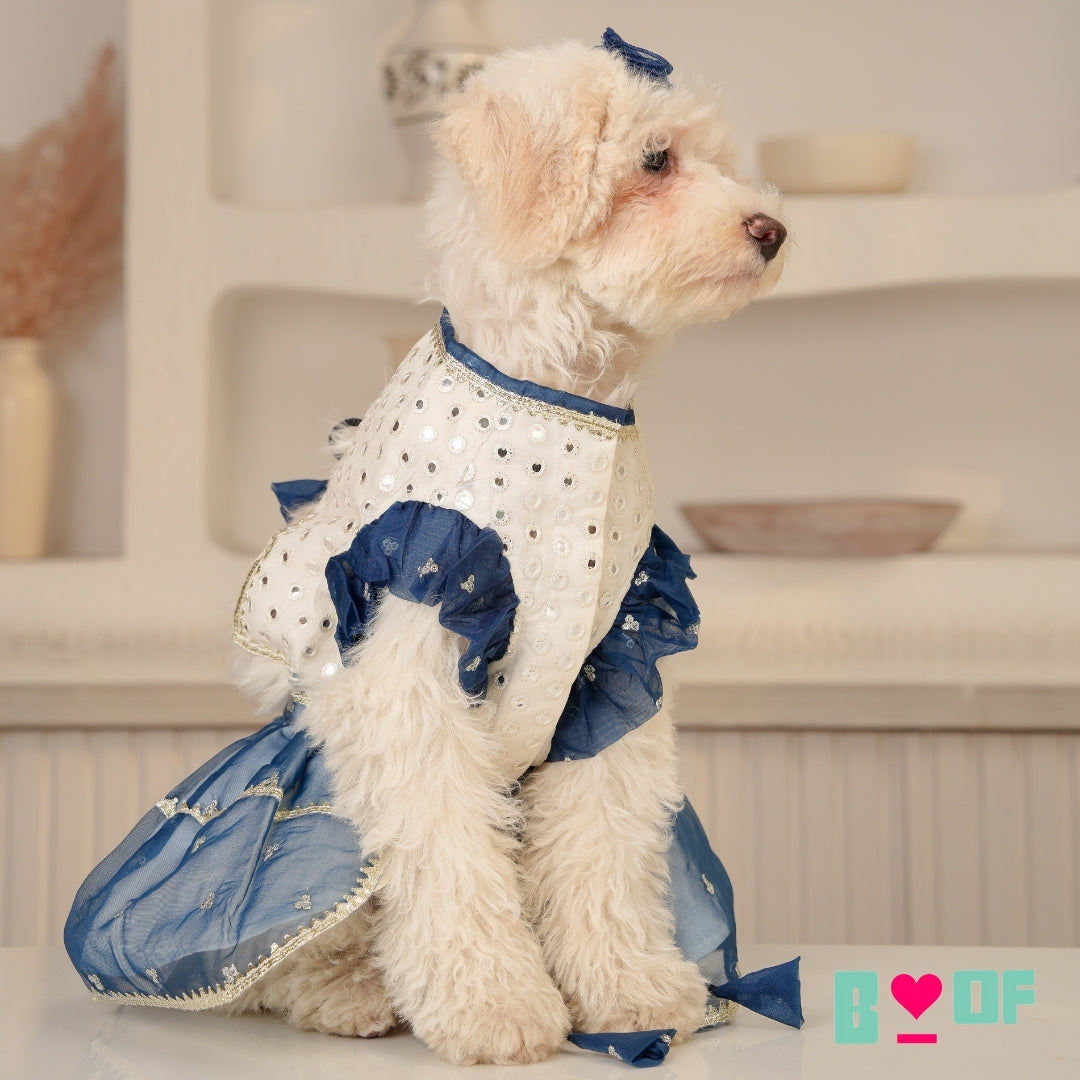 MIRROR WORK BLUE DOG LEHENGA