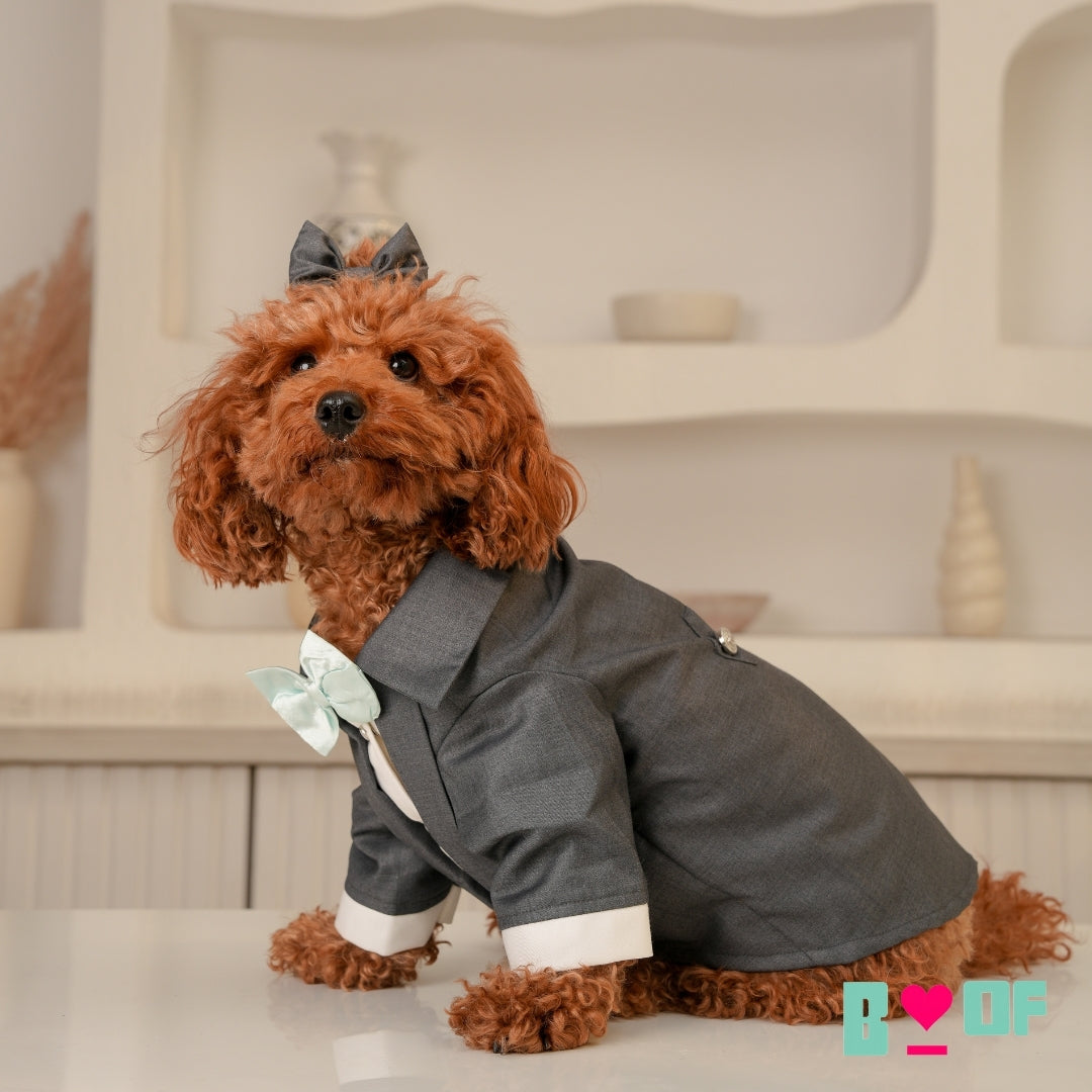 FORMAL GREY DOG TUXEDO