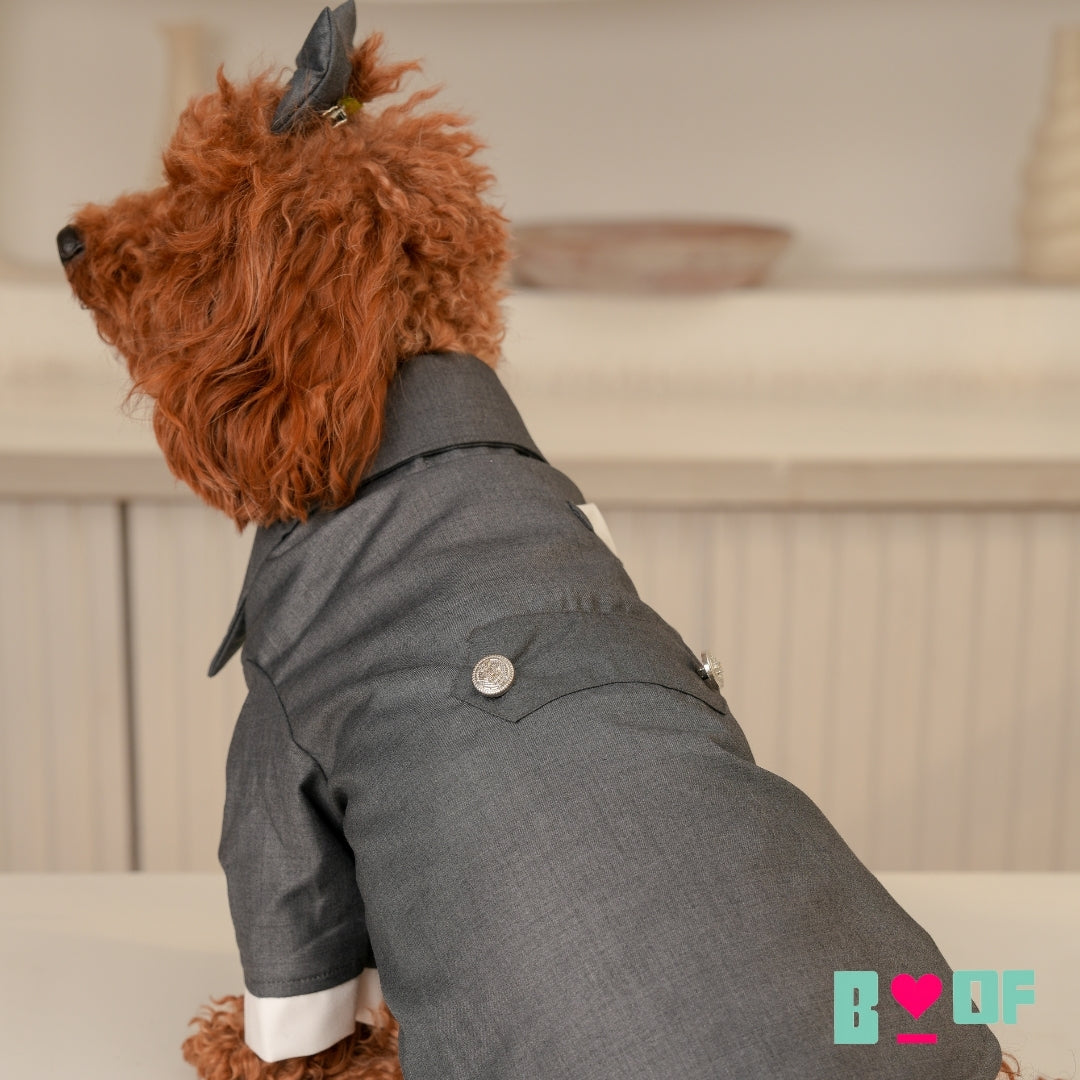 FORMAL GREY DOG TUXEDO
